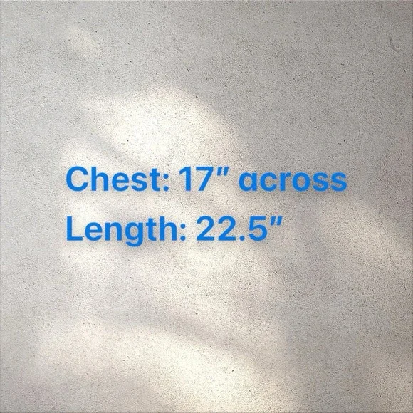 La Prestic Ouiston Punks Not Dead I did It My Way Silk Camion Blouse Tank Sz‎ 0